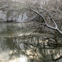 Январь в парке Октября :: Нина Бутко