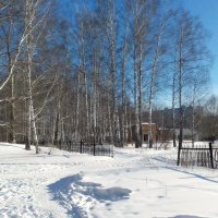 Последний день января . :: Мила Бовкун