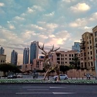 Золотые олени на улицах Дубая :: Alex 