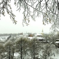 Взгляд из парка! :: Владимир Шошин