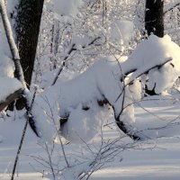 Про зверушек снежных...:-) :: Андрей Заломленков