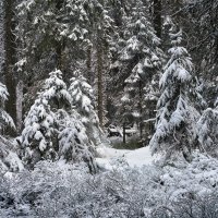 апрель промчался свежим снегом :: Elena Wymann