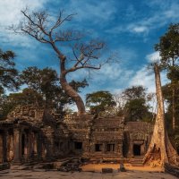 Ангкор-Ват...Камбоджа! :: Александр Вивчарик