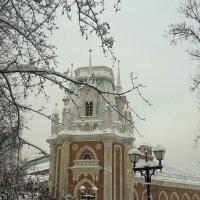 Дворец в Царицыно :: Яна Михайловна