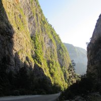 Ущелье в горах Абхазии. :: Валюша Черкасова