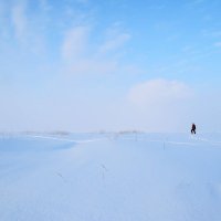 Февраль на Белом море. :: Елена Третьякова