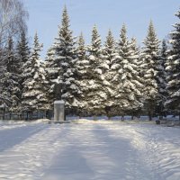 Памятник в снегу.. :: Анатолий Грачев