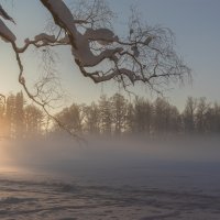 Нежданный...туман. :: Вячеслав Криволуцкий