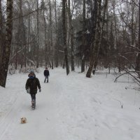 Команда молодости нашей :: Андрей Лукьянов