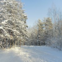 В морозный солнечный день :: Роман Алексеев