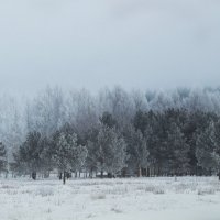 Зимний туман :: Инга Энгель