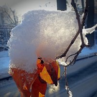 Листочки под снегом :: Асылбек Айманов