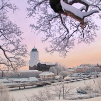 Снежные зарисовки утренней Выборгской зимы .. :: Александр 