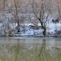 Январь :: Нина Бутко