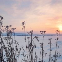 рассвет... :: Ольга Cоломатина