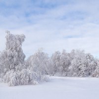 Под снежным покрывалом :: Igor Konstantinov 