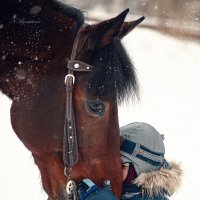 Единение сердец. :: Наталья Мячикова