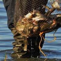 Рыбалка на озере Караколь. :: Штрек Надежда 