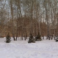 Зимний , городской пейзаж. :: Мила Бовкун