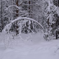 ... :: Михаил Жуковский