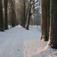 В старом парке. :: ТАТЬЯНА (tatik)