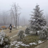 Аксай. Зимой в тумане :: Татьяна Смоляниченко