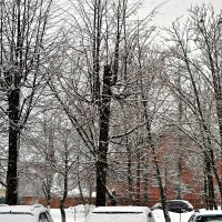 И снова снег в феврале. :: Михаил Столяров