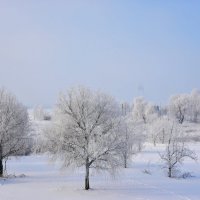 Зима :: Teresa Valaine