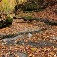Осенний ручей.. :: Лариса Крышталь 