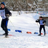 Палка сделала из обезьяны человека, а вторая палка сделала из него лыжника! :-) :: Андрей Заломленков