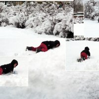 Домой - только ползком по свежему снегу! :: Тамара Бедай 