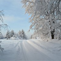 Зимний день :: Leonid Rutov