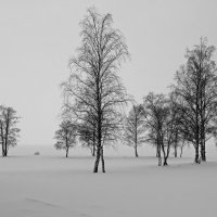 Зима продолжается :: skijumper Иванов