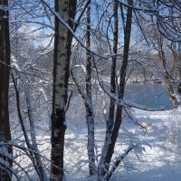 ...и вновь февраль порадовал снежком... :: Galina Dzubina