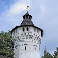 Монастырская башенка :: Nikolay Monahov