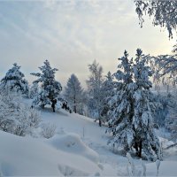 Зимний день :: Leonid Rutov