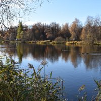 Осень в Николо-Урюпино на речке Липка, Московская область. :: Марина Григорьева