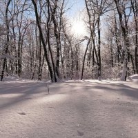 Приморозило, однако, на Лаврентьев день.. :: Андрей Заломленков