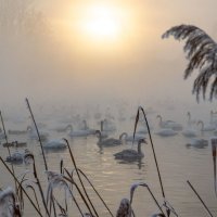 Холодный январский закат :: владимир 