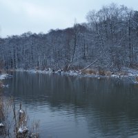 На берегах реки Химка :: Евгений Седов