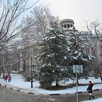 Тает снег :: Валентин Семчишин