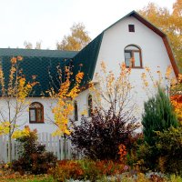 осень в деревне :: Дмитрий Солоненко