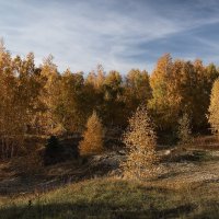 Осенний лес :: Igor Konstantinov 