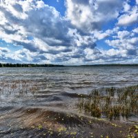 Белое озеро :: Виктор Журбенков