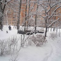 Зима... :: Елена Семигина