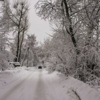 снегопад :: Петр Беляков