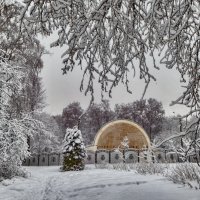 Летняя эстрада в Сокольниках сегодня. :: Василий Ярославцев