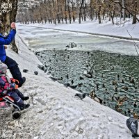 Да не оскудеет рука дающего :: Алексей Виноградов