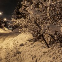 Февральский снег. :: Владимир Орлов