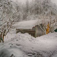 Снегопад в Ромашково 13-02-2019 :: Юрий Яньков